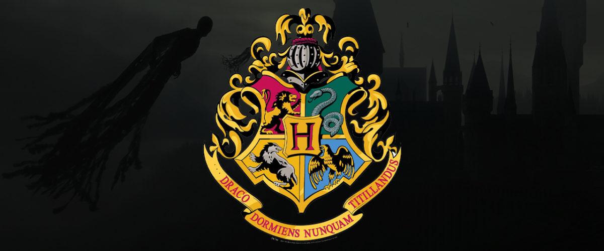 Harry potter maison