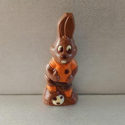 Lapin foot